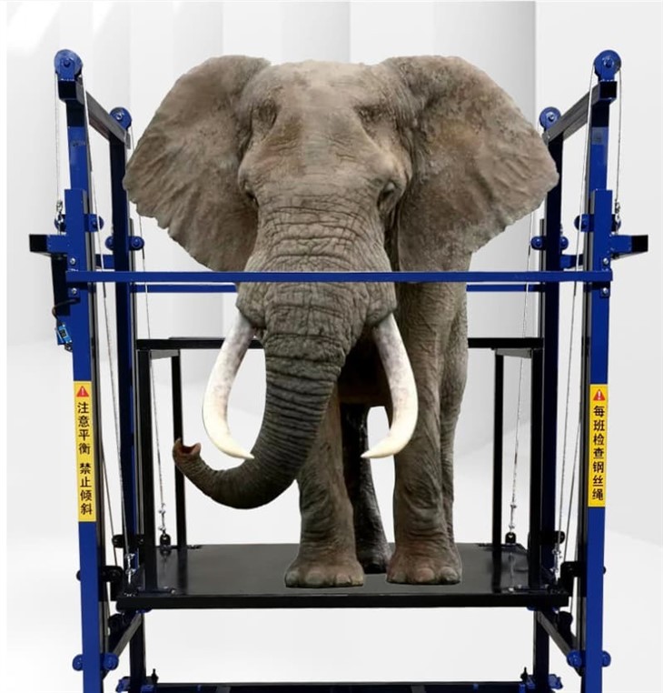 01fc9622-3f5f-44cd-a374-332af08266bd